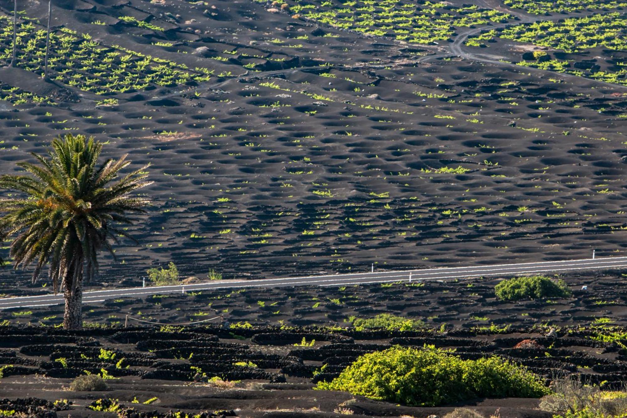 Home2Book Wanderlust Apt Arrecife Beach, Terrace Buitenkant foto